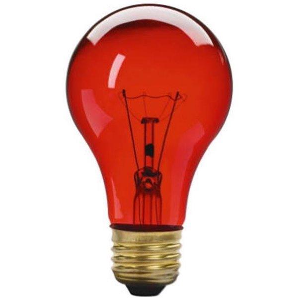 Globe Electric Globe Electric 70804 25 Watts Transparent Red Party Light Bulb; Pack Of 6 707184